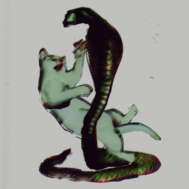 Album cover art for Cat And The Cobra