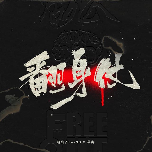 Album cover art for 翻身仗