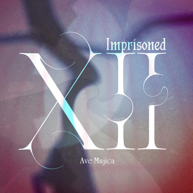 Album cover art for Imprisoned XII
