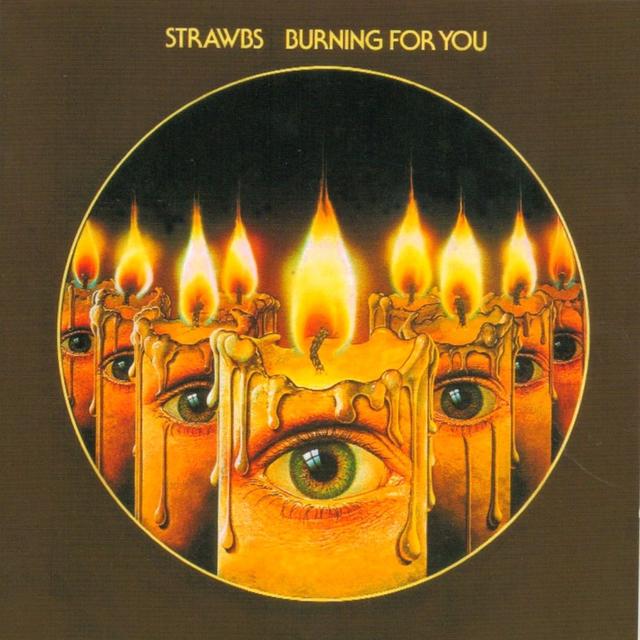 Album cover art for Burning for You