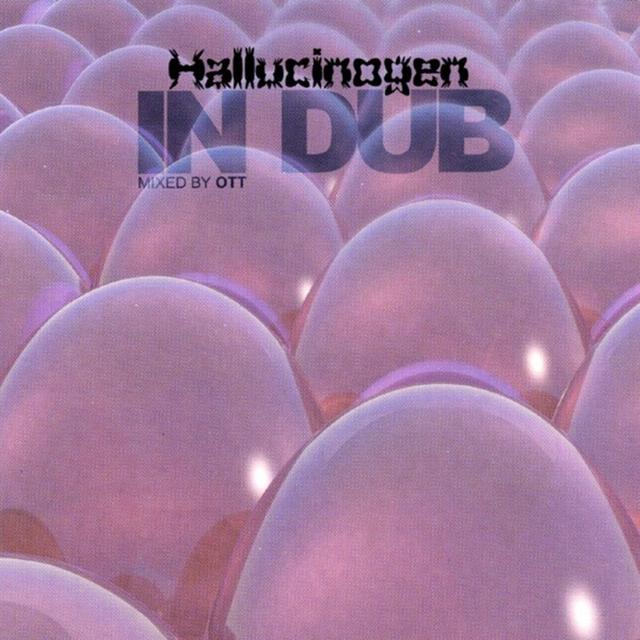 Album cover art for In Dub Mixed By Ott