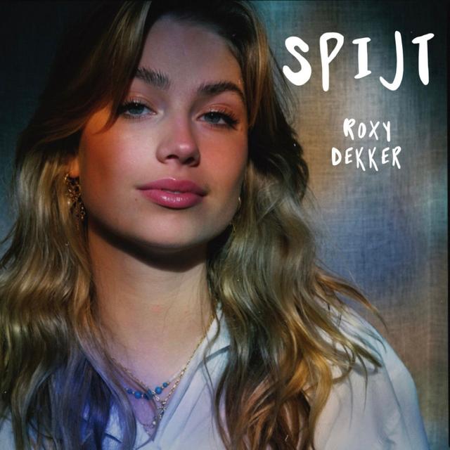 Album cover art for Spijt