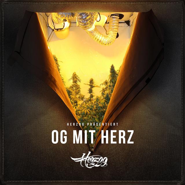 Album cover art for OG mit Herz