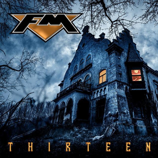 Album cover art for Thirteen