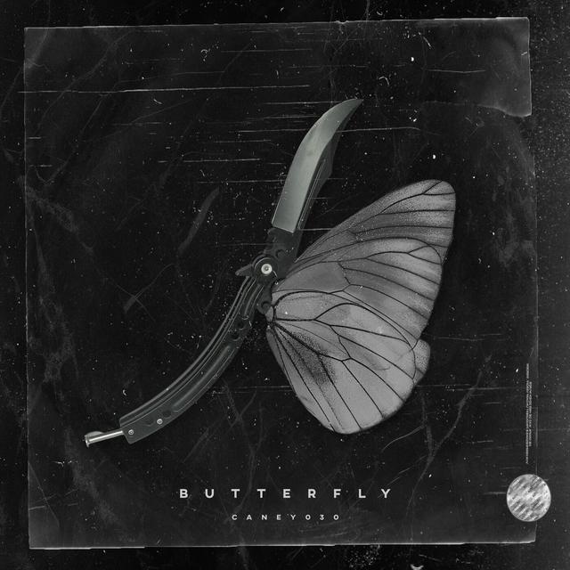 Album cover art for Butterfly