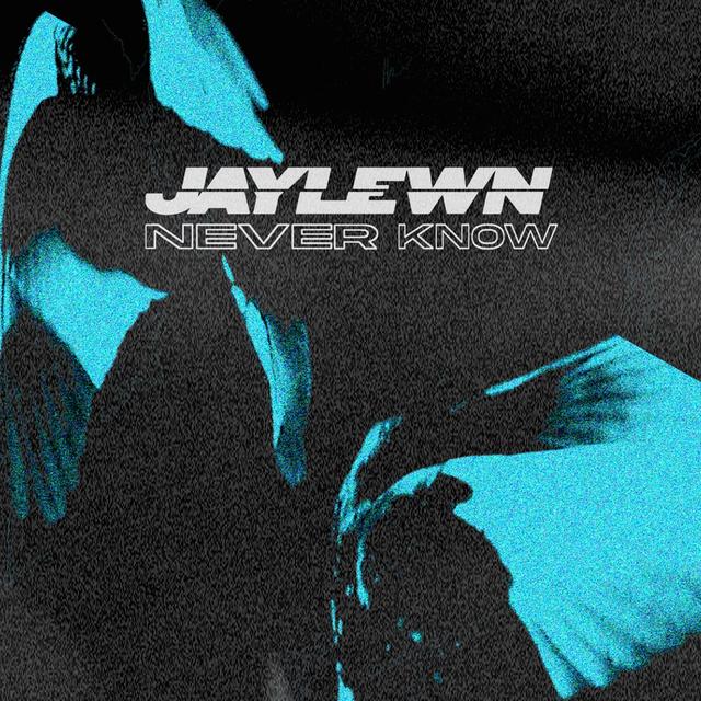 Album cover art for Never Know