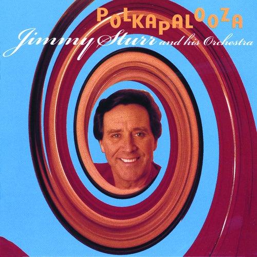 Album cover art for Polkapalooza