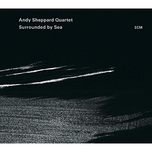 Album cover art for Surrounded by Sea