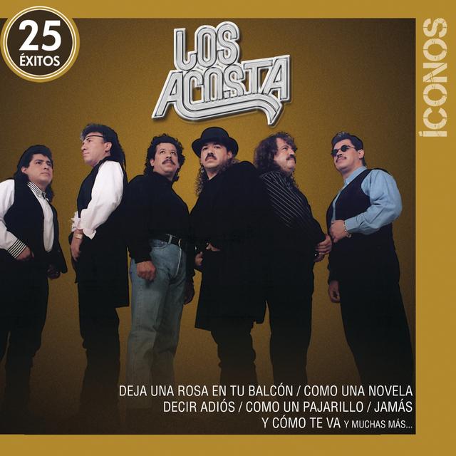 Album cover art for Íconos 25 Éxitos