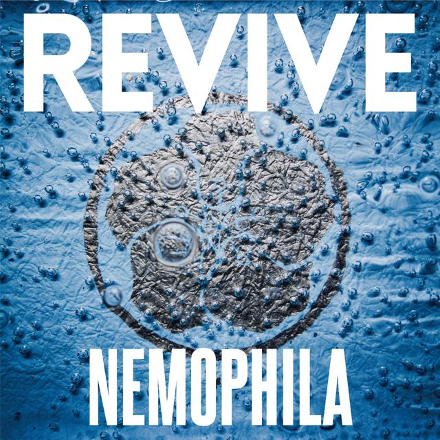 Album cover art for REVIVE