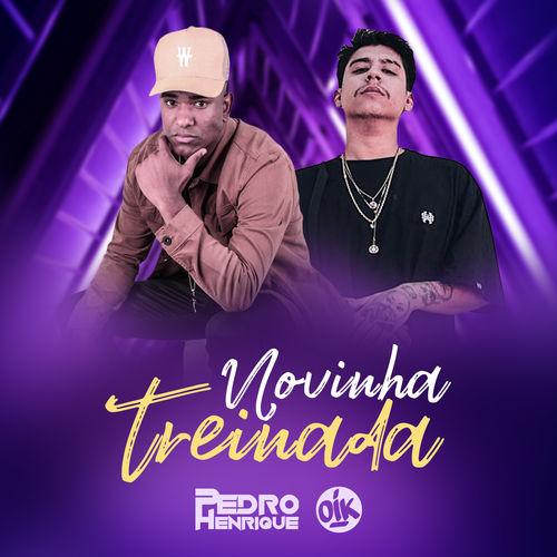 Album cover art for Novinha Treinada