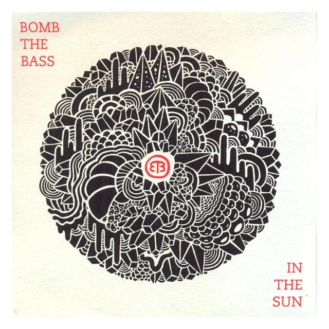 Album cover art for In The Sun