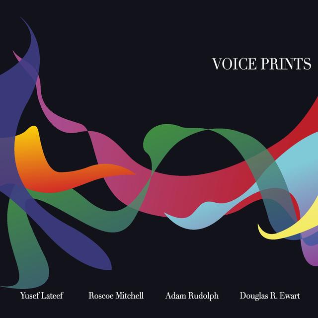 Album cover art for Voice Prints