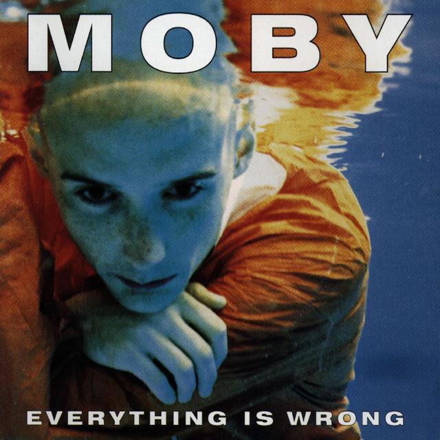 Album cover art for Everything Is Wrong