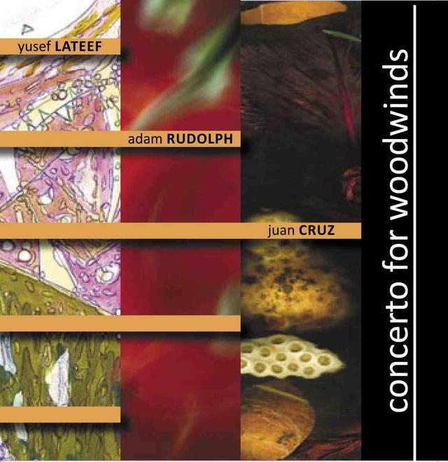 Album cover art for Concerto for Woodwinds