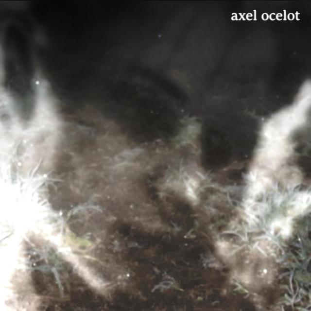 Album cover art for axel ocelot