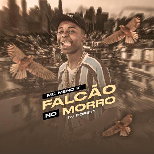 Album cover art for Falcão no Morro