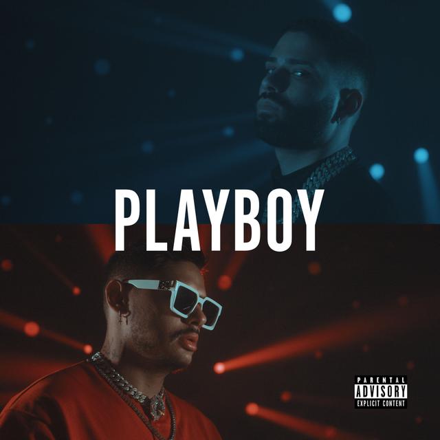 Album cover art for Playboy