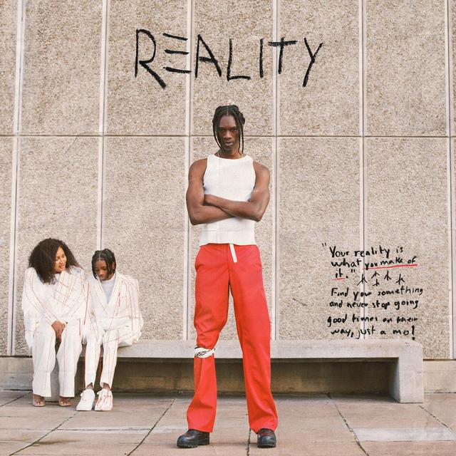 Album cover art for Reality