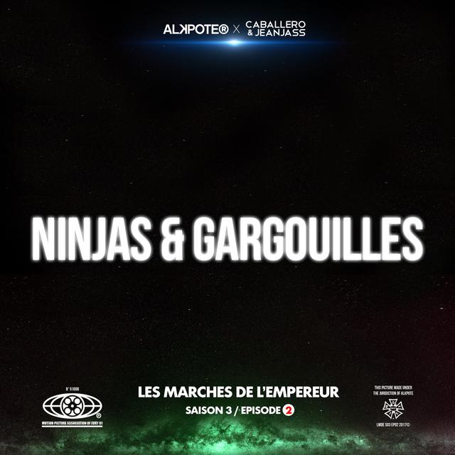 Album cover art for Ninjas et gargouilles