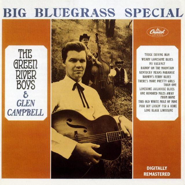 Album cover art for Big Bluesgrass Special