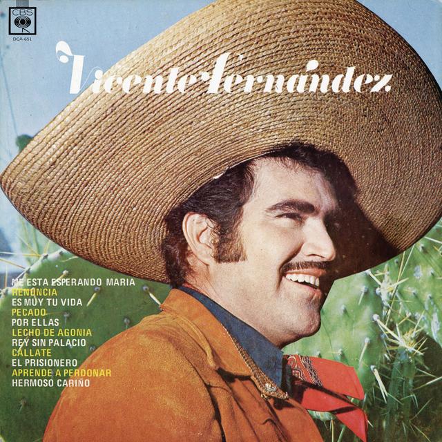 Album cover art for Vicente Fernández (Me Está Esperando Maria)