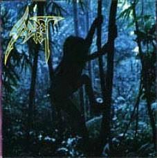 Album cover art for Tribe