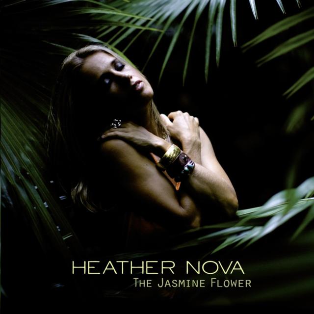 Album cover art for The Jasmine Flower