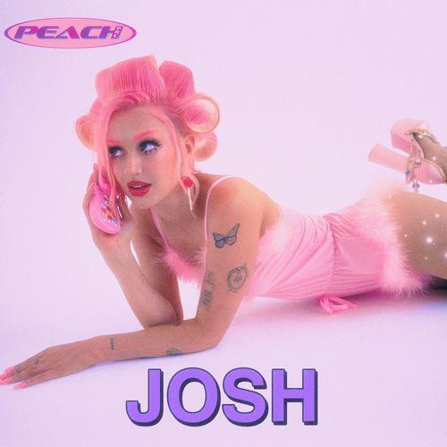 Album cover art for Josh