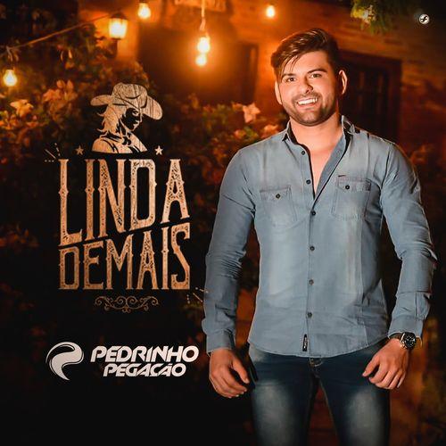 Album cover art for Linda Demais