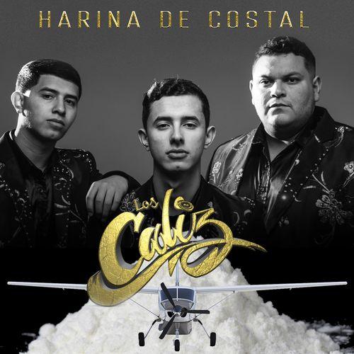 Album cover art for Harina de Costal