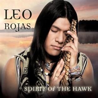 Album cover art for Spirit Of The Hawk