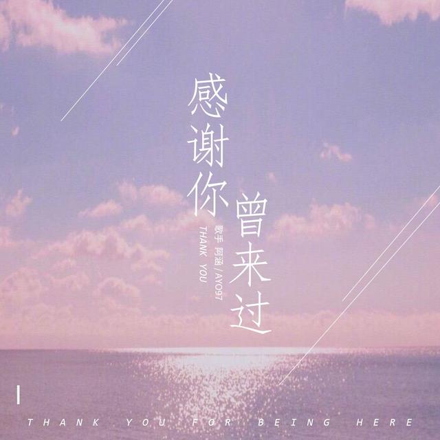 Album cover art for 感谢你曾来过