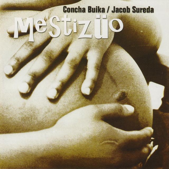 Album cover art for Mestizüo