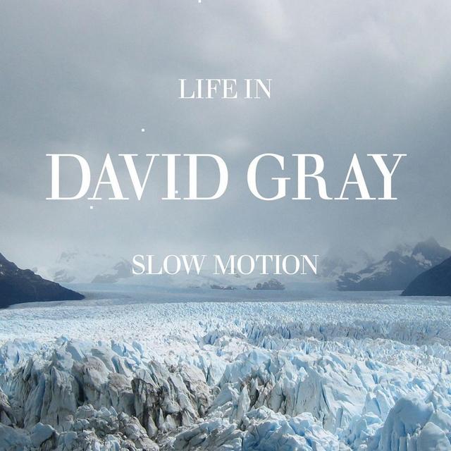 Album cover art for Life in Slow Motion