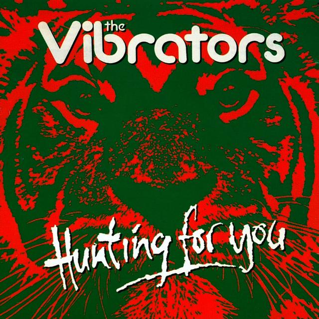 Album cover art for Hunting For You