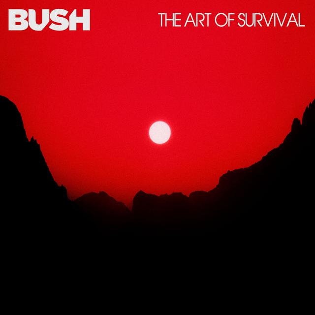 Album cover art for The Art of Survival