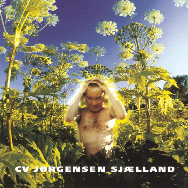 Album cover art for Sjælland