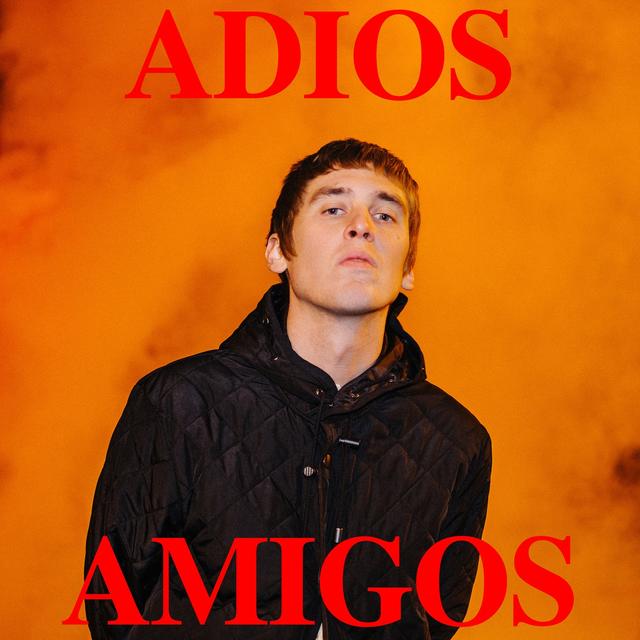 Album cover art for Adios Amigos