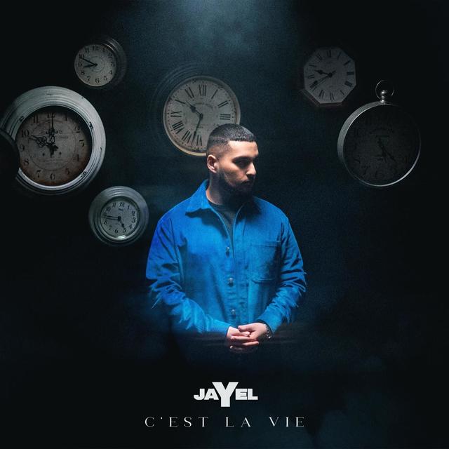 Album cover art for C'est la Vie