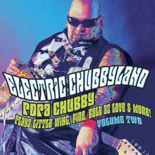 Album cover art for Electric Chubbyland, Vol. 2