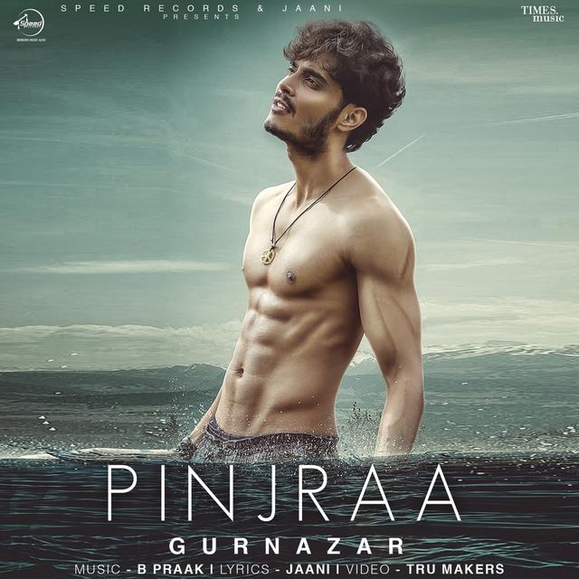 Album cover art for Pinjraa