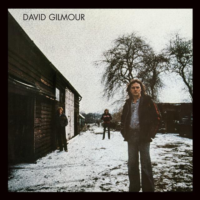 Album cover art for David Gilmour