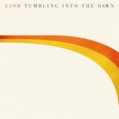 Album cover art for Tumbling Into the Dawn (Bonus Track Version)