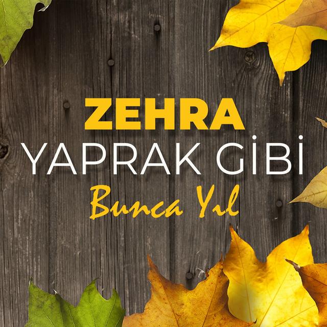 Album cover art for Yaprak Gibi - Bunca Yıl