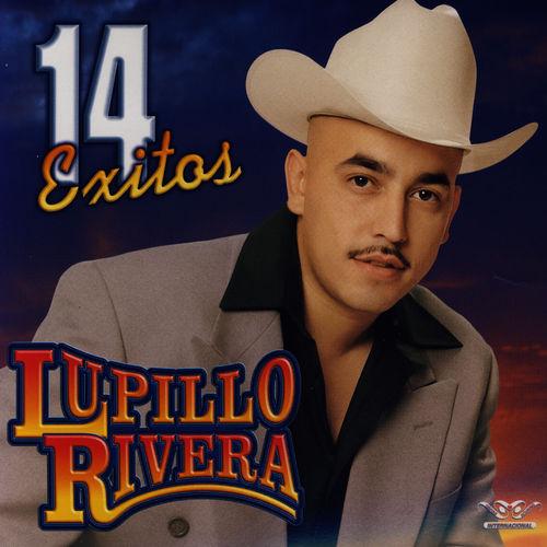 Album cover art for 14 Exitos