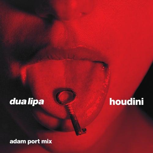 Album cover art for Houdini (Adam Port Mix)