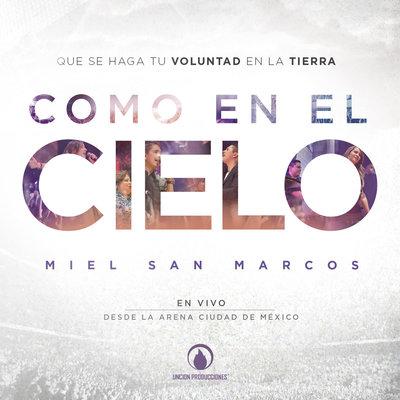 Album cover art for Como En El Cielo (En Vivo)