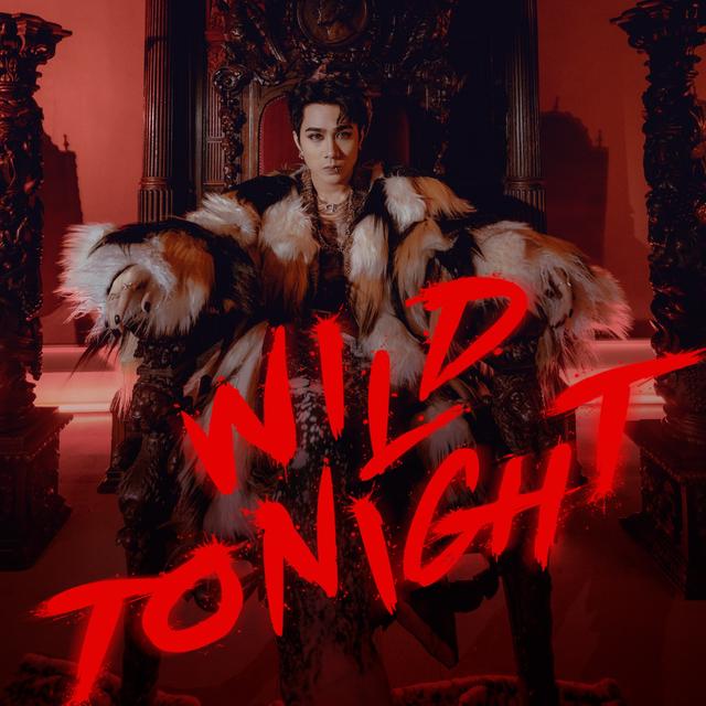 Album cover art for Wild Tonight