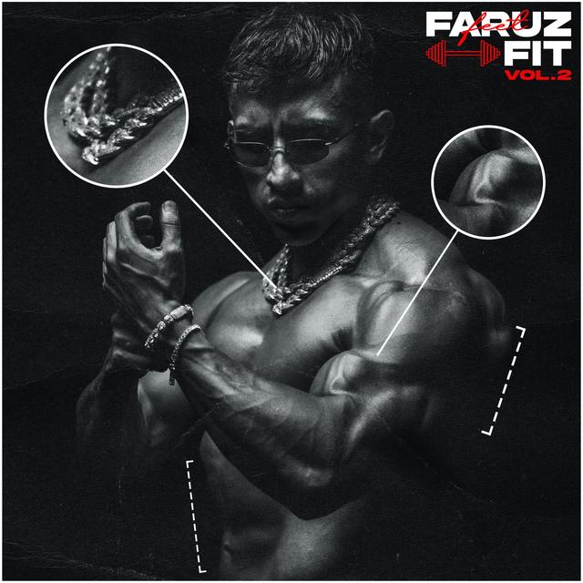 Album cover art for Faruz Fit, Vol. 2